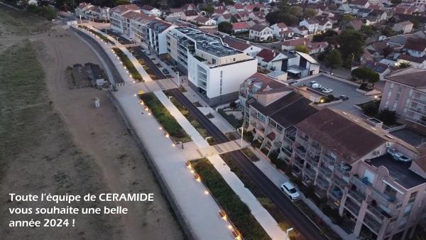 padioleau bonne annee